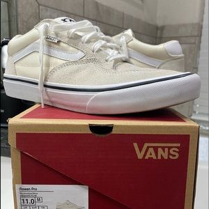 Vans Rowan Pro low